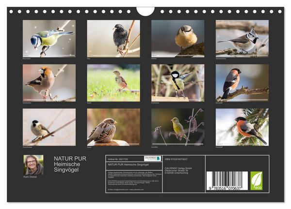 Produktbild: NATUR PUR Heimische Singv&ouml;gel (Wandkalender 2026 DIN A4 quer), CALVENDO Monatskalender