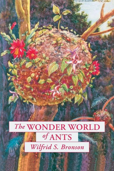 Produktbild: The Wonder World of Ants