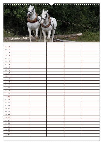 Produktbild: Der Kaltblut-Familienplaner (hochwertiger Premium Wandkalender 2026 DIN A2 hoch), Kunstdruck in Hochglanz