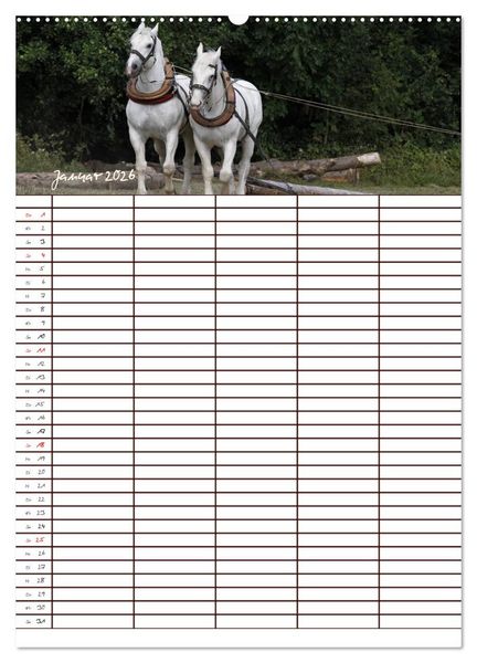 Produktbild: Der Kaltblut-Familienplaner (Wandkalender 2026 DIN A2 hoch), CALVENDO Monatskalender