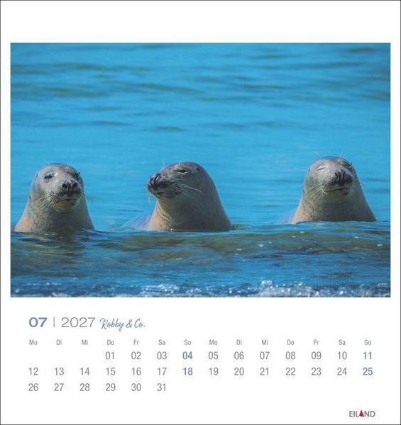 Produktbild: Robby & Co. Postkartenkalender 2027