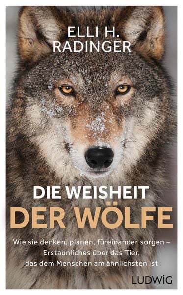 Produktbild: Die Weisheit der W&ouml;lfe