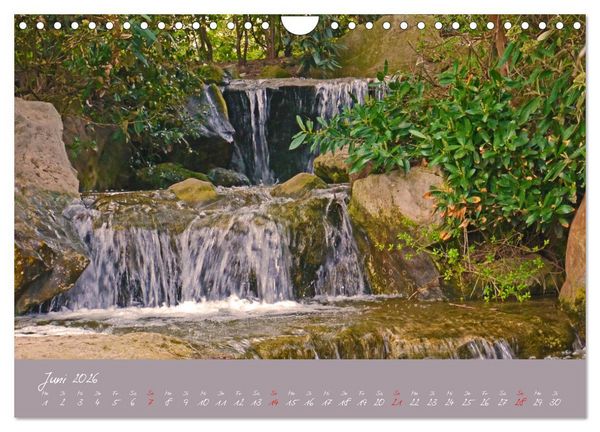 Produktbild: D&uuml;sseldorfer Nordpark (Wandkalender 2026 DIN A4 quer), CALVENDO Monatskalender