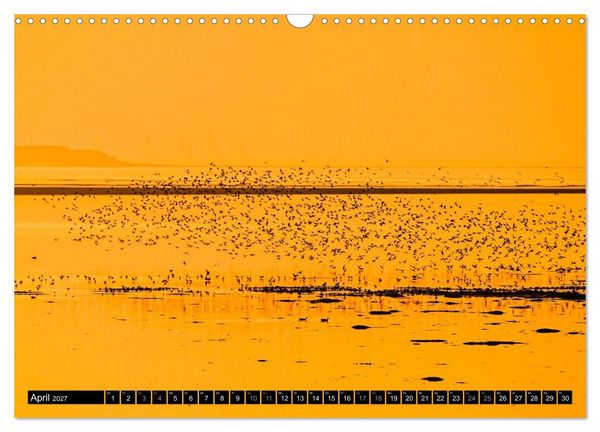 Produktbild: Einzigartige Strandansichten auf Amrum (Wandkalender 2027 DIN A3 quer), CALVENDO Monatskalender