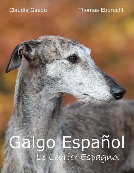Produktbild: Galgo Español