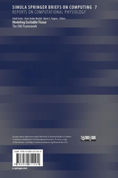 Produktbild: Modeling Excitable Tissue