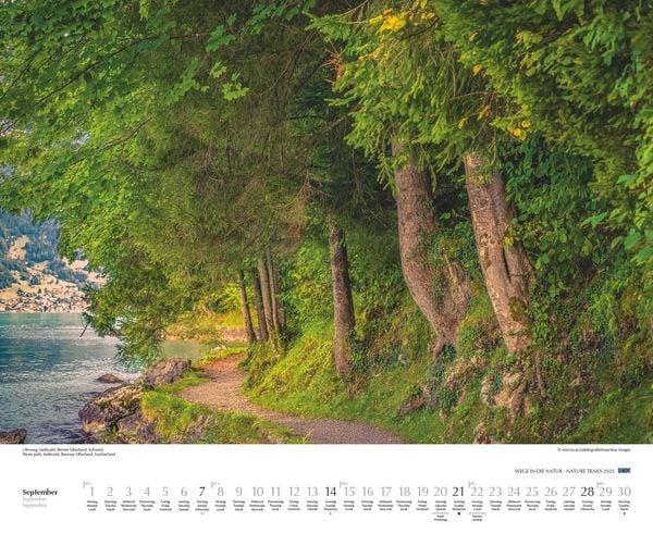 'DUMONT - Wege in die Natur 2025 Wandkalender, 52x42,5cm, Fotokunst 