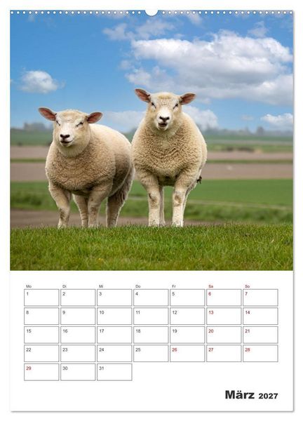 Produktbild: Sankt Peter-Ording Sonne, Strand und Meer (hochwertiger Premium Wandkalender 2027 DIN A2 hoch), Kunstdruck in Hochglanz