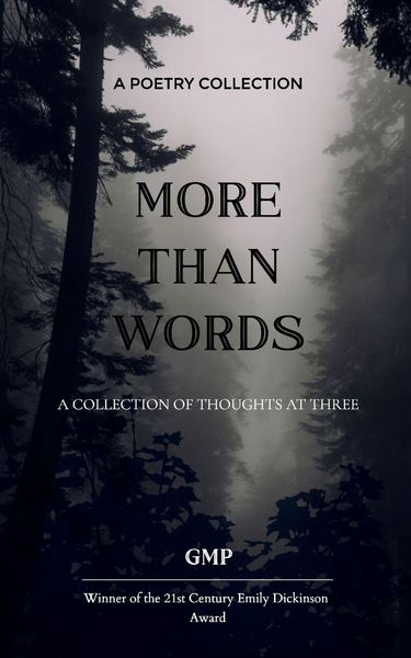 Produktbild: More than Words