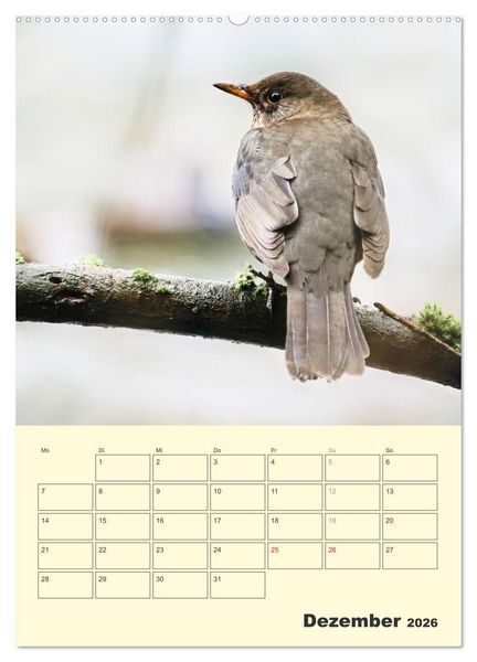Produktbild: Vogelwelt an der Sieg (Wandkalender 2026 DIN A2 hoch), CALVENDO Monatskalender