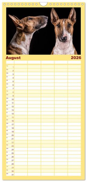 Produktbild: Familienplaner 2026 - Bullterrier mit 5 Spalten (Wandkalender, 21 x 45 cm) CALVENDO