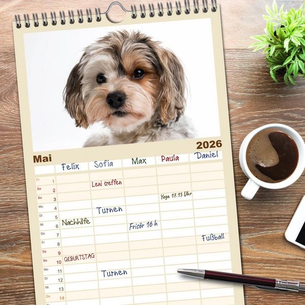 Produktbild: Familienplaner 2026 - Kleine Hunde - Gro&szlig;e Blicke mit 5 Spalten (Wandkalender, 21 x 45 cm) CALVENDO