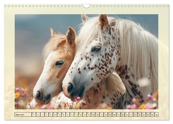 Produktbild: Knabstrupper Poesie. Gescheckte Eleganz im Farmsommer (Wandkalender 2027 DIN A3 quer), CALVENDO Monatskalender