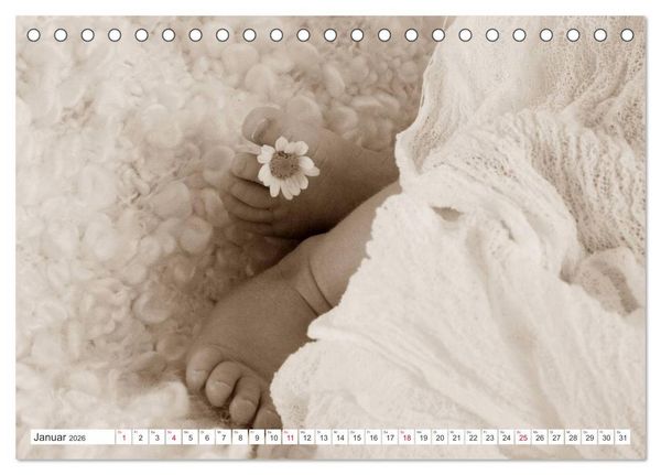 Produktbild: Babys - Willkommen im Leben (Tischkalender 2026 DIN A5 quer), CALVENDO Monatskalender