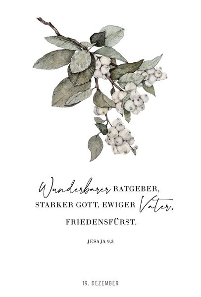 Produktbild: VorFreude &ndash; Adventskalender