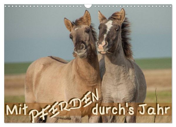 Produktbild: Mit Pferden durch&acute;s Jahr (Wandkalender 2026 DIN A3 quer), CALVENDO Monatskalender