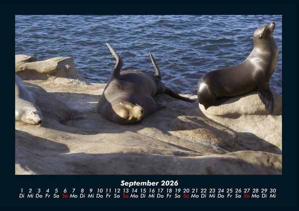 Produktbild: Die Seen der Erde 2026 Fotokalender DIN A4