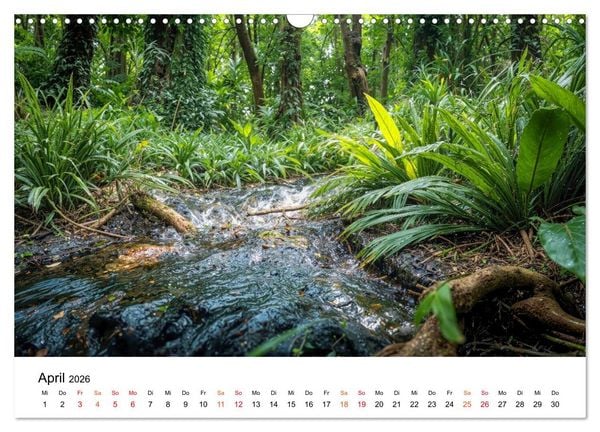 Produktbild: Naturzeit - Ein Jahr im Wandel (Wandkalender 2026 DIN A3 quer), CALVENDO Monatskalender