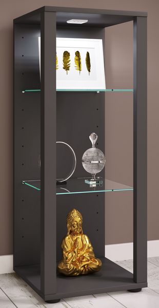 Produktbild: Holz Glas Stand Vitrine Sammelvitrine Glasol M