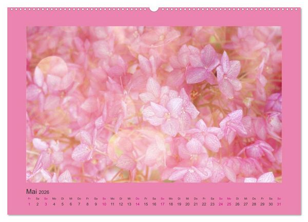 Produktbild: 12 Farben (hochwertiger Premium Wandkalender 2026 DIN A2 quer), Kunstdruck in Hochglanz