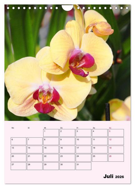 Produktbild: Orchideenliebe (Wandkalender 2026 DIN A4 hoch), CALVENDO Monatskalender