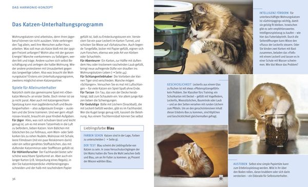 Produktbild: Wohnungskatzen