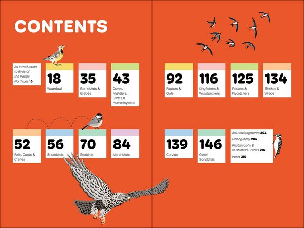 Produktbild: Birds of the Pacific Northwest for Kids