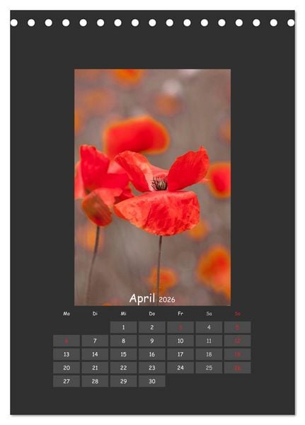 Produktbild: Mohn (Tischkalender 2026 DIN A5 hoch), CALVENDO Monatskalender
