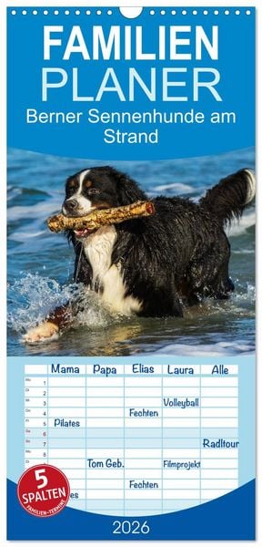 Produktbild: Familienplaner 2026 - Berner Sennenhunde am Strand mit 5 Spalten (Wandkalender, 21 x 45 cm) CALVENDO