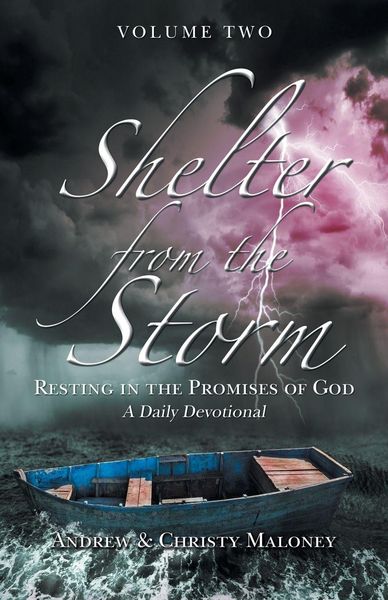 Produktbild: Shelter from the Storm