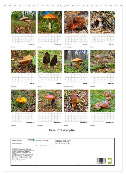 Produktbild: Heimische Waldpilze (Wandkalender 2026 DIN A2 hoch), CALVENDO Monatskalender