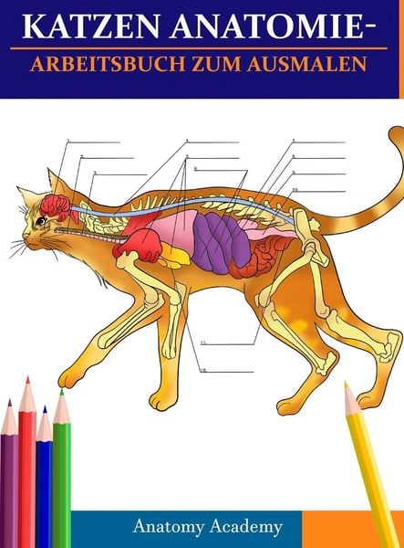 Produktbild: Katzen AnatomieArbeitsbuch zum Ausmalen