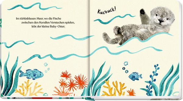 Produktbild: Meine erste Tierbaby-Geschichte: Kleiner Otter