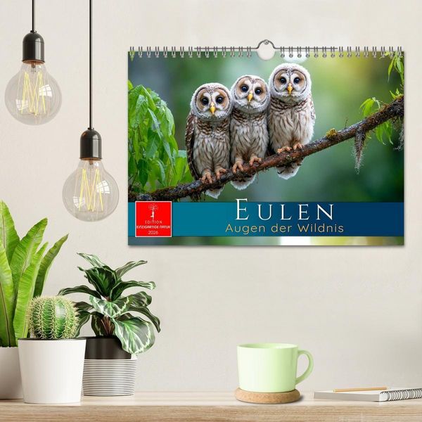 Produktbild: Eulen - Augen der Wildnis (Wandkalender 2026 DIN A4 quer), CALVENDO Monatskalender