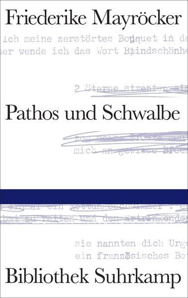 Produktbild: Pathos und Schwalbe