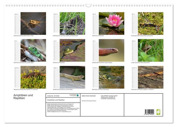 Produktbild: Amphibien und Reptilien (Wandkalender 2026 DIN A2 quer), CALVENDO Monatskalender