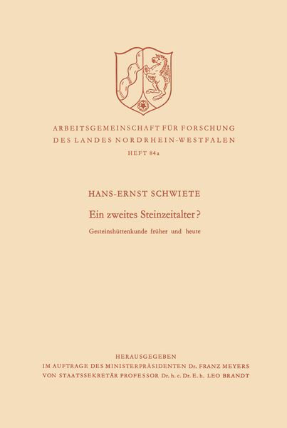 Produktbild: Ein zweites Steinzeitalter?