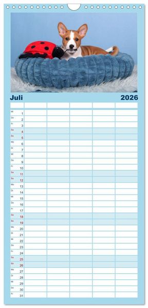 Produktbild: Familienplaner 2026 - Basenji-Sch&ouml;nheiten mit 5 Spalten (Wandkalender, 21 x 45 cm) CALVENDO