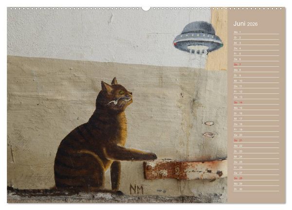 Produktbild: Flensburger Katzen (Wandkalender 2026 DIN A2 quer), CALVENDO Monatskalender