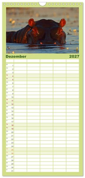 Produktbild: Familienplaner 2027 - Flusspferde Magie des Augenblicks - Hippos in Afrika mit 5 Spalten (Wandkalender, 21 x 45 cm) CALVENDO
