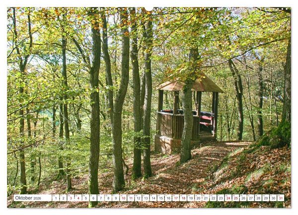 Produktbild: Neunkirchen im Siegerland (hochwertiger Premium Wandkalender 2026 DIN A2 quer), Kunstdruck in Hochglanz