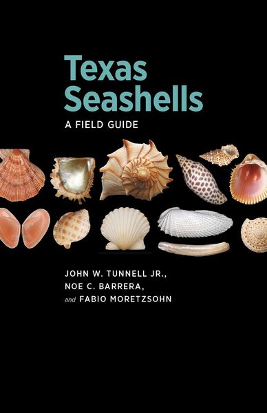 Produktbild: Texas Seashells