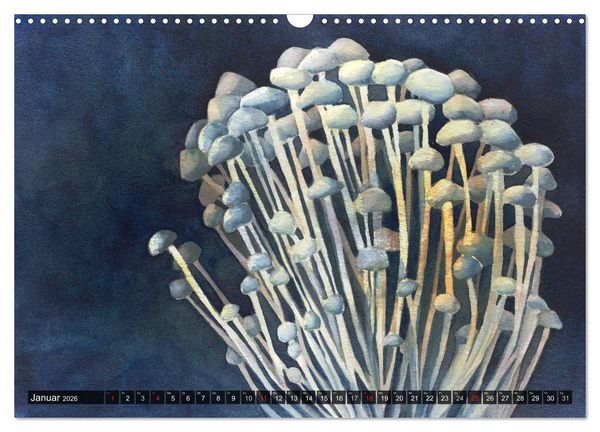 Produktbild: Pilze in Aquarell (Wandkalender 2026 DIN A3 quer), CALVENDO Monatskalender