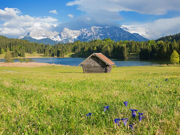 Produktbild: CALVENDO Puzzle Enzianwiese am Geroldsee | 1000 Teile Lege-Gr&ouml;&szlig;e 64x48cm Foto-Puzzle f&uuml;r gl&uuml;ckliche Stunden