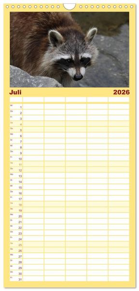 Produktbild: Familienplaner 2026 - Waschb&auml;ren mit 5 Spalten (Wandkalender, 21 x 45 cm) CALVENDO