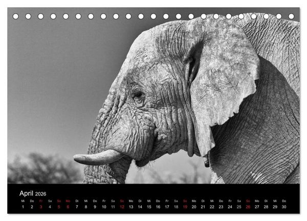 Produktbild: Elefanten Schwarz - Weiss (Tischkalender 2026 DIN A5 quer), CALVENDO Monatskalender