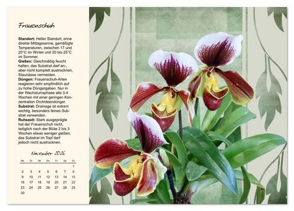 Produktbild: Bl&uuml;tenpracht am Fenster (Wandkalender 2026 DIN A3 quer), CALVENDO Monatskalender