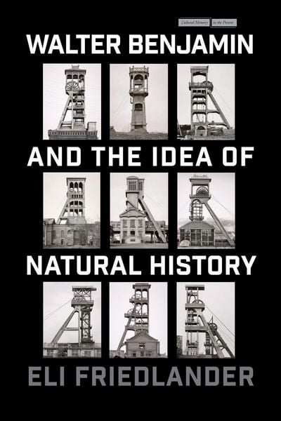 Produktbild: Walter Benjamin and the Idea of Natural History