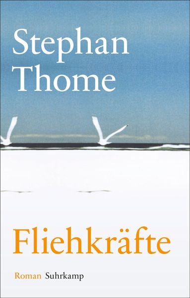 Produktbild: Fliehkräfte