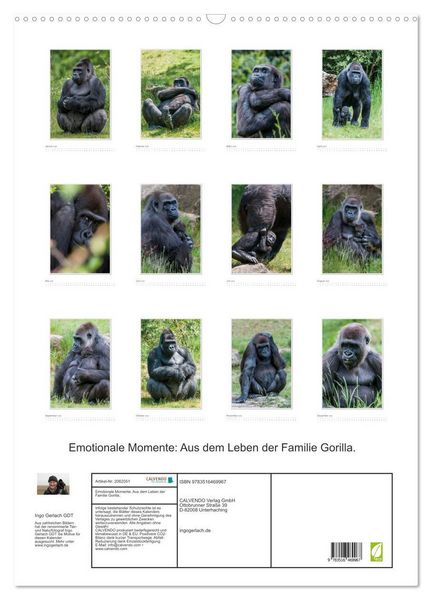 Produktbild: Emotionale Momente: Aus dem Leben der Familie Gorilla. (Wandkalender 2026 DIN A2 hoch), CALVENDO Monatskalender